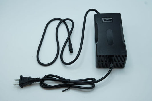 H100 4A Fast charger